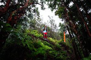 BIB: 
                            <button type="button" onclick="openModal(26203829)" class="btn btn-primary btn-sm float-right btn-popup" data-toggle="modal" data-target=".modal-high-quality">
                        <i class="fas fa-shopping-cart"></i> Add to Cart
                    </button>
                                            <button type="button" onclick="isThisMe(26203829, true)" class="btn btn-success btn-sm float-right btn-popup btn-isme hidden" data-toggle="tooltip" data-placement="bottom" title="นี่คือรูปของคุณใช่ไหม คลิกที่นี่เพื่อเอาเข้าอัลบั้ม">
                        <i class="fas fa-plus"></i> Add to album
                    </button>
                    <button type="button" onclick="isThisMe(26203829, false)" class="btn btn-warning btn-sm float-right btn-popup btn-isnotme hidden">
                        <i class="fas fa-ban"></i> Remove from album
                    </button>